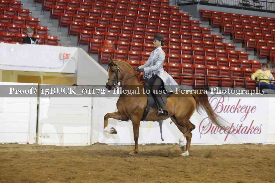 Proof 15BUCK_01172