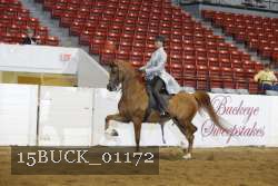 15BUCK_01172 proof