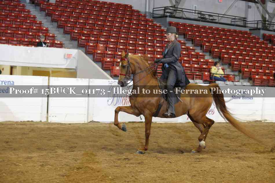 Proof 15BUCK_01173