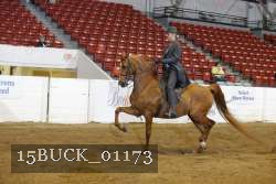 15BUCK_01173 proof