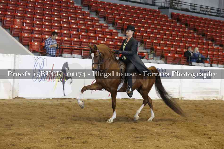 Proof 15BUCK_01174