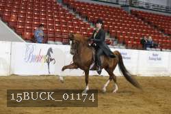 15BUCK_01174 proof