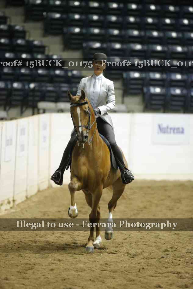 Proof 15BUCK_01175