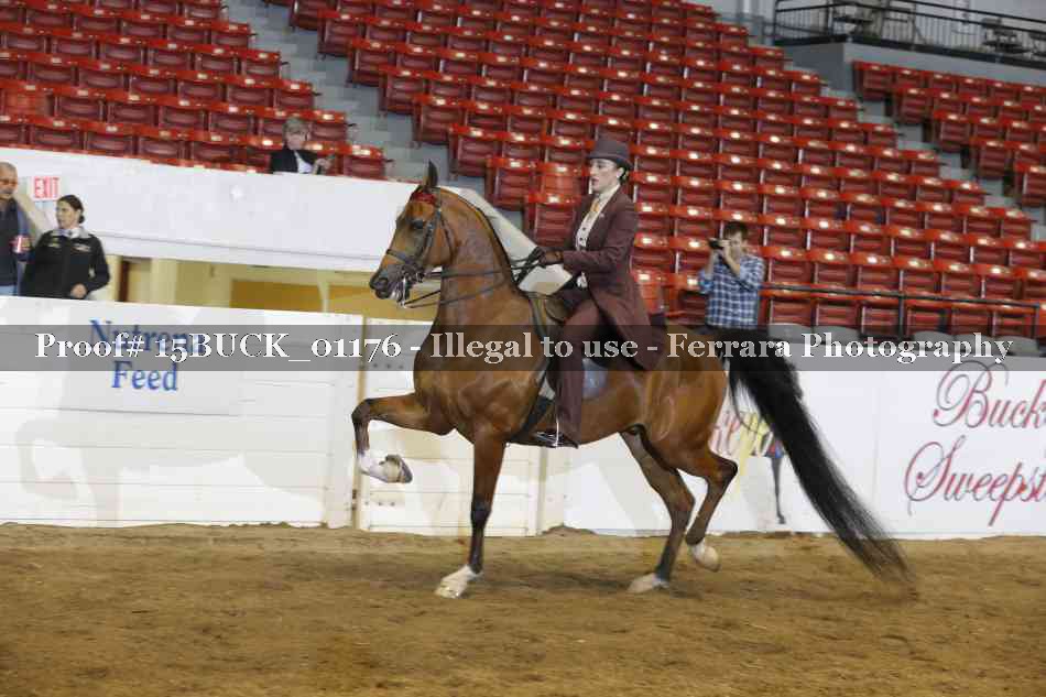 Proof 15BUCK_01176