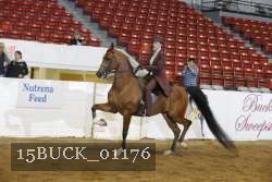 15BUCK_01176 proof