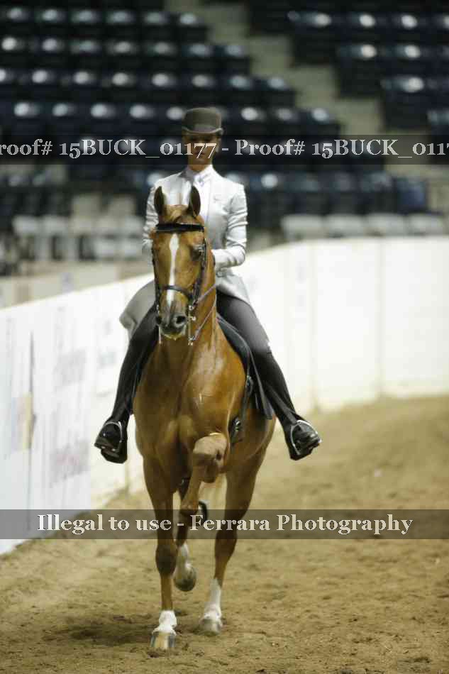 Proof 15BUCK_01177