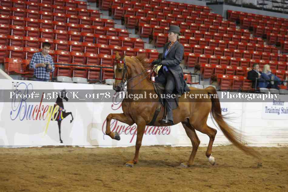 Proof 15BUCK_01178