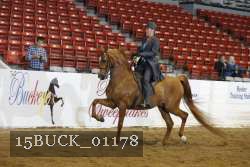 15BUCK_01178 proof