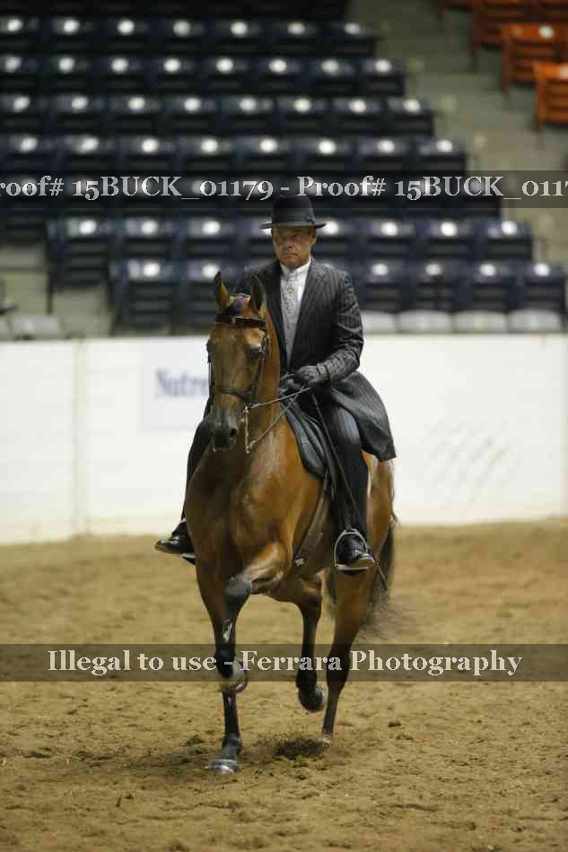 Proof 15BUCK_01179