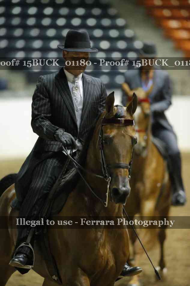Proof 15BUCK_01180