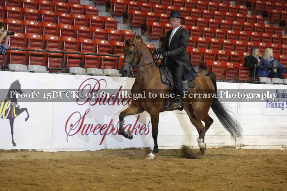 Proof 15BUCK_01181