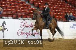 15BUCK_01181 proof