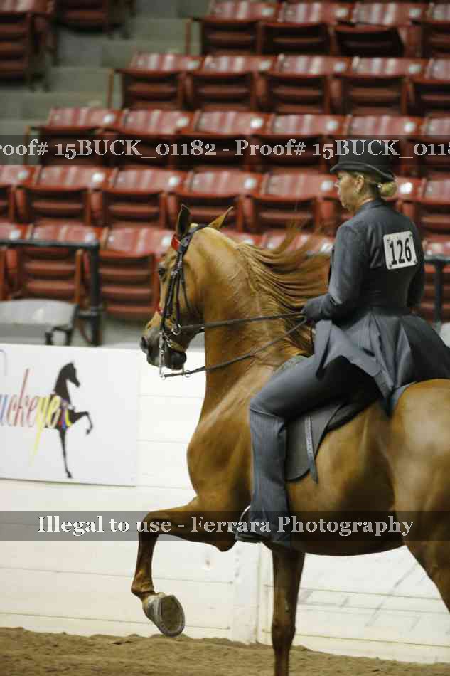Proof 15BUCK_01182