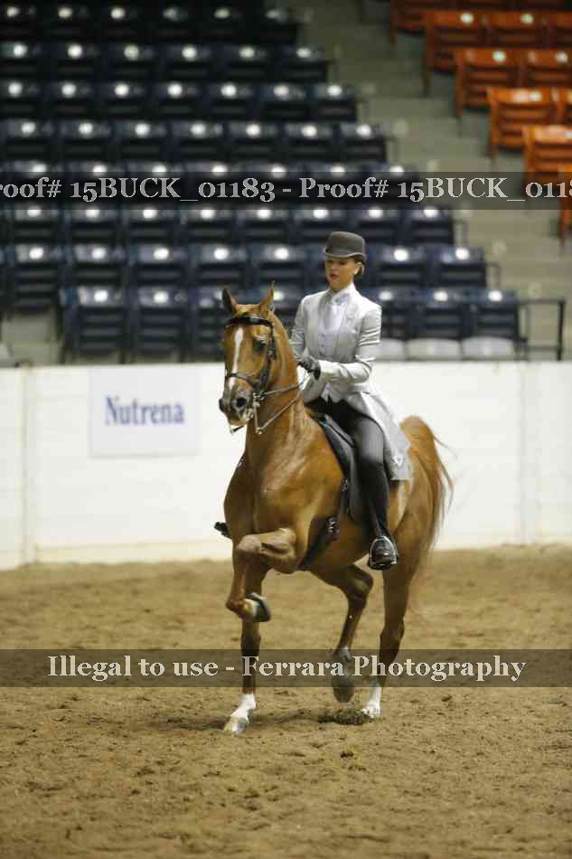 Proof 15BUCK_01183