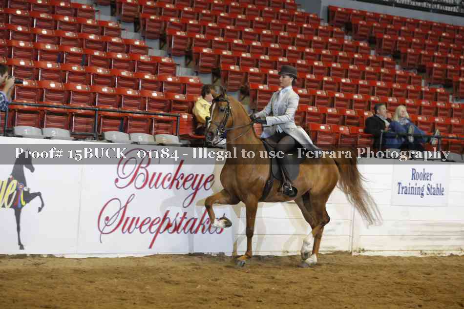 Proof 15BUCK_01184
