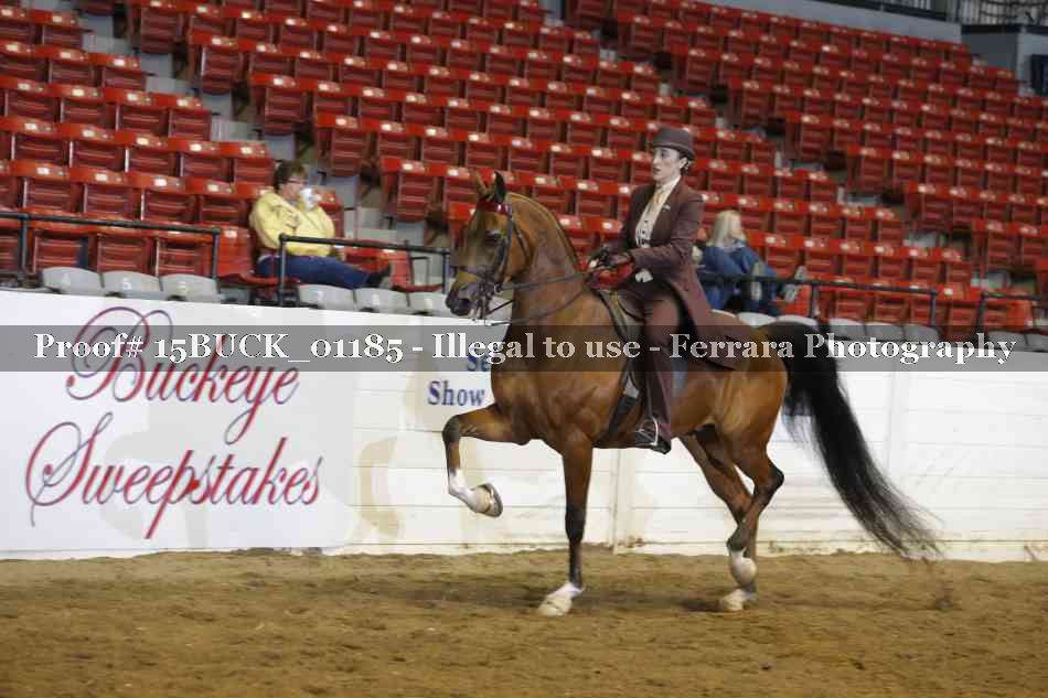 Proof 15BUCK_01185