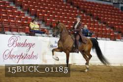 15BUCK_01185 proof