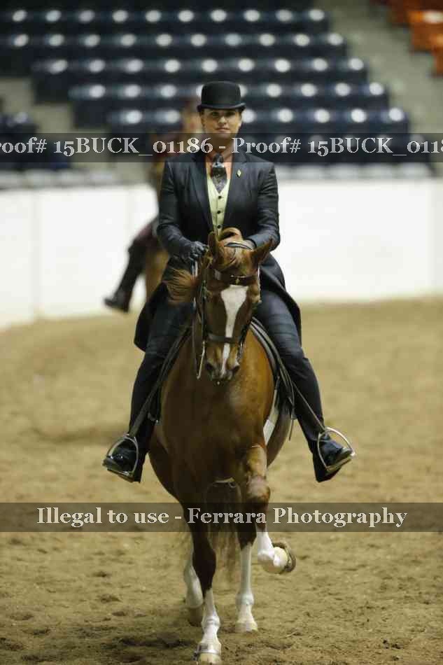 Proof 15BUCK_01186