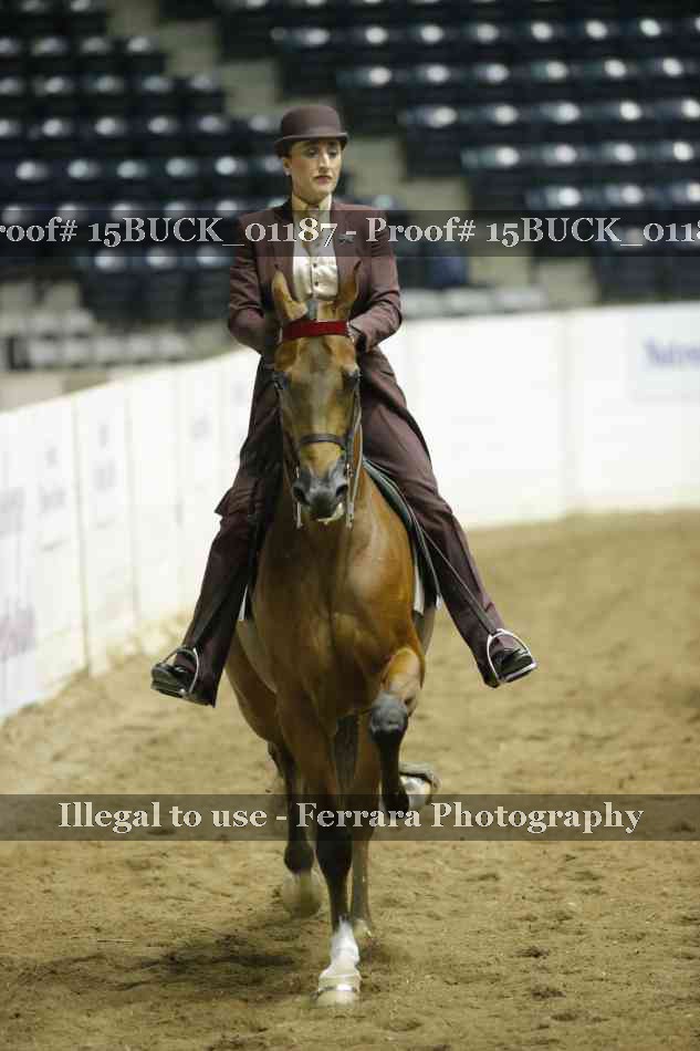 Proof 15BUCK_01187