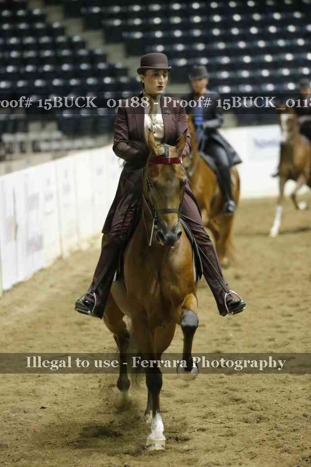 Proof 15BUCK_01188