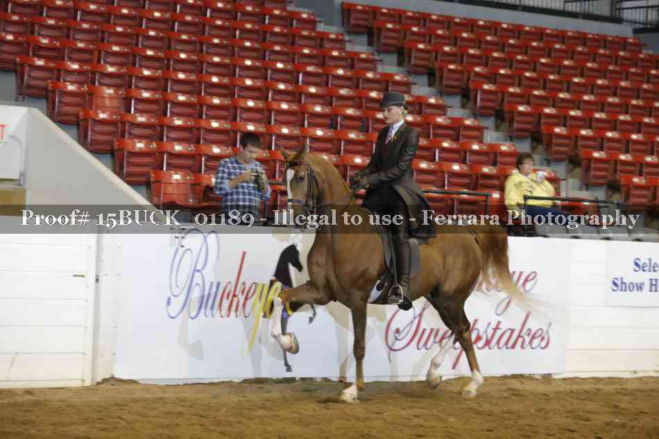 Proof 15BUCK_01189