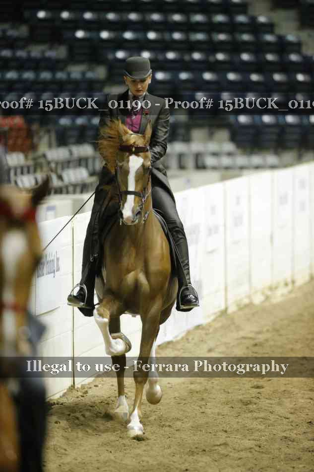 Proof 15BUCK_01190