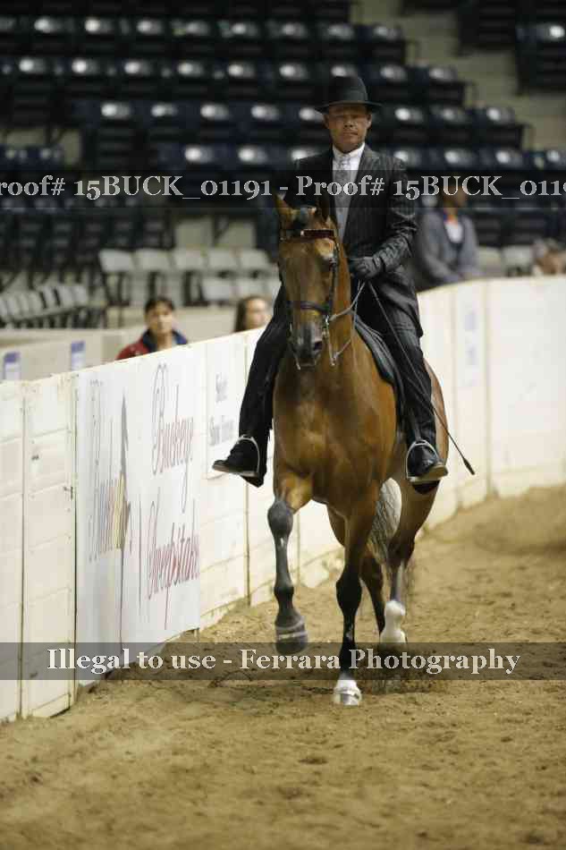 Proof 15BUCK_01191