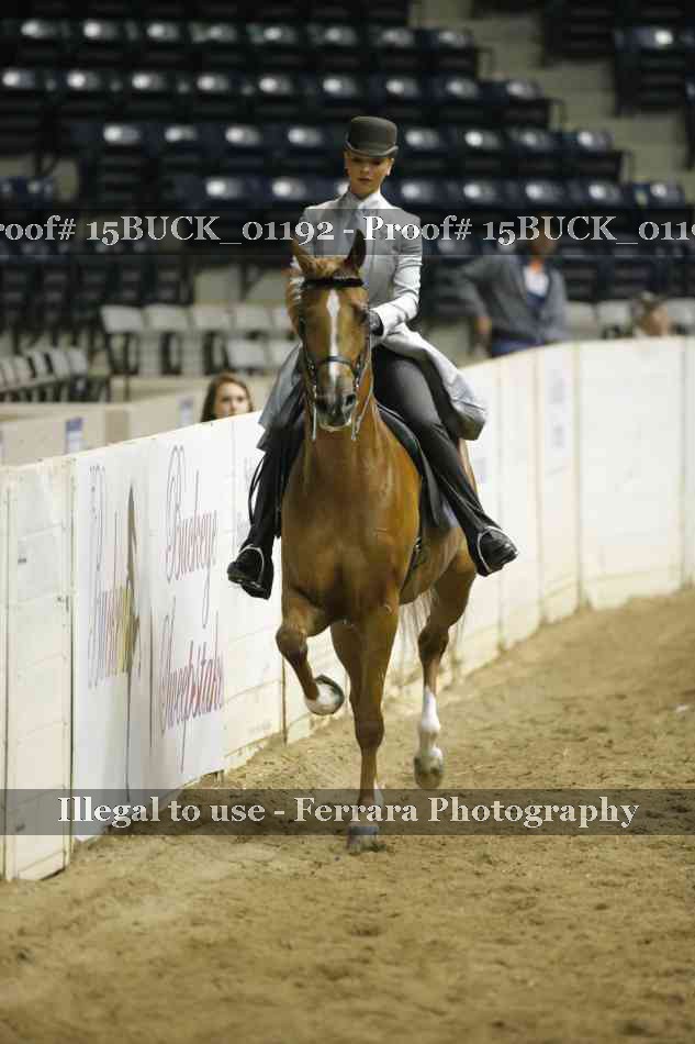 Proof 15BUCK_01192