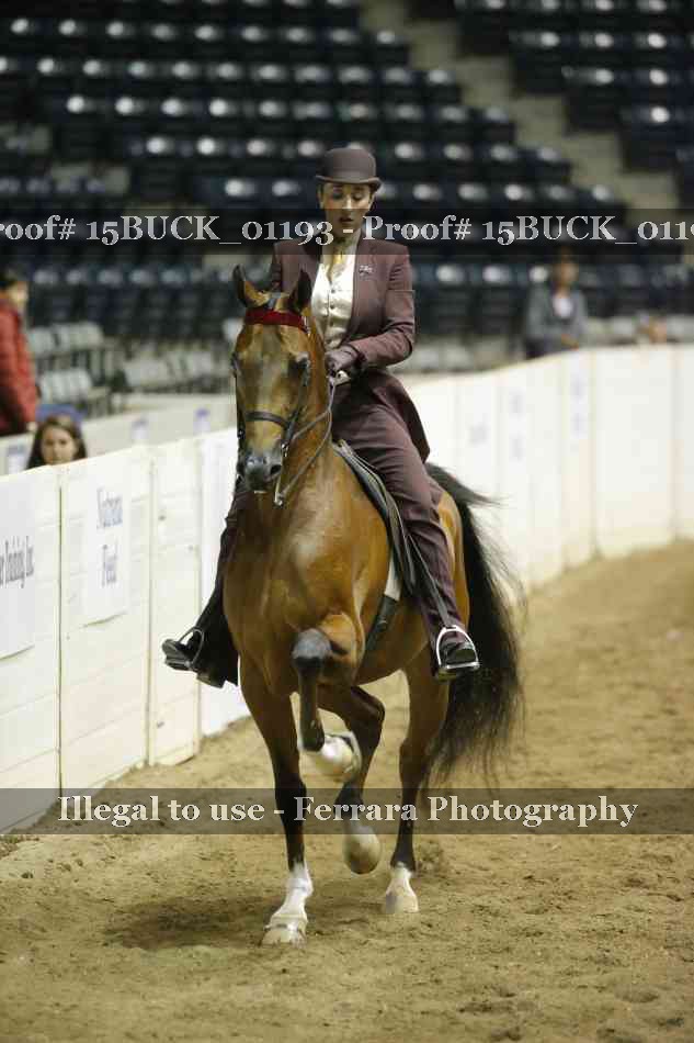 Proof 15BUCK_01193