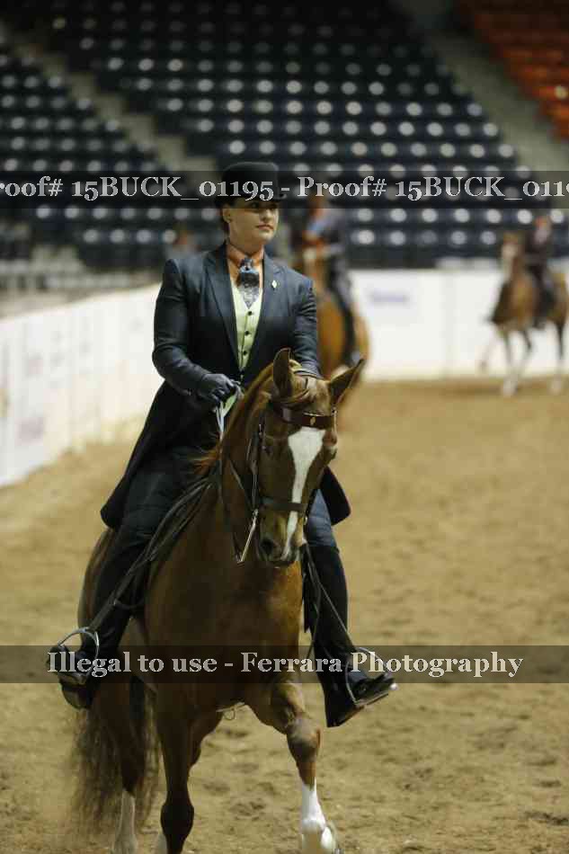 Proof 15BUCK_01195