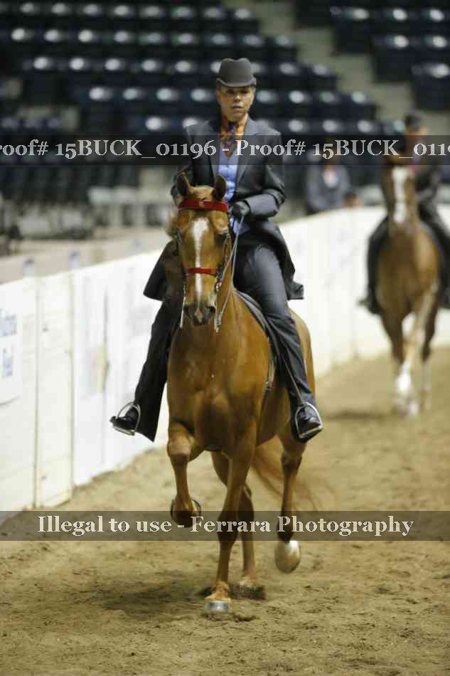 Proof 15BUCK_01196
