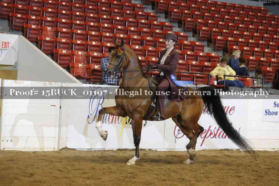 Proof 15BUCK_01197
