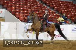 15BUCK_01197 proof