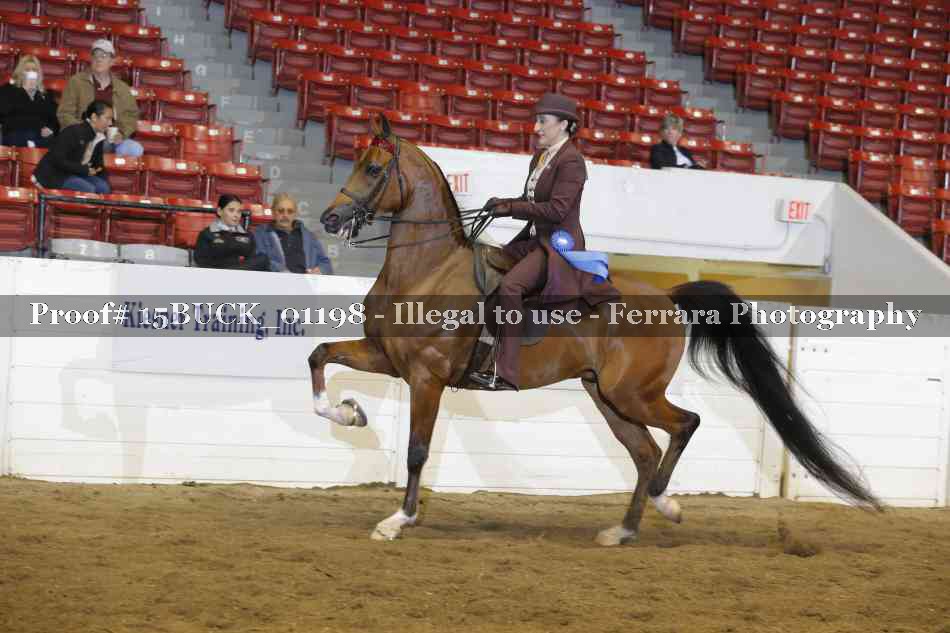Proof 15BUCK_01198