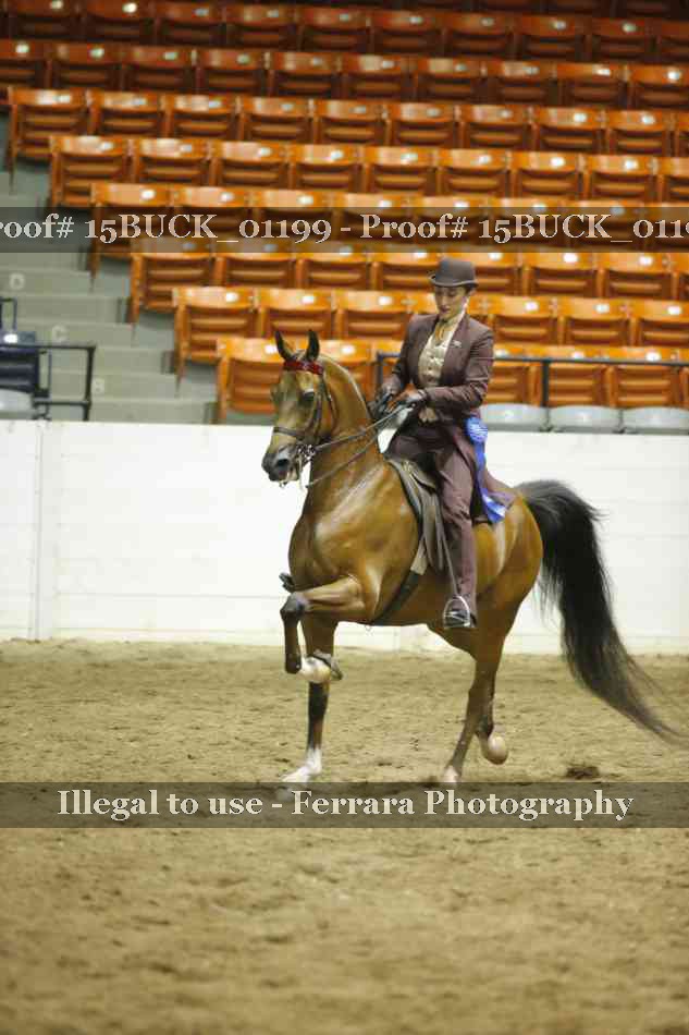 Proof 15BUCK_01199