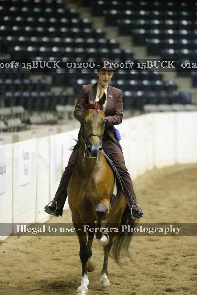 Proof 15BUCK_01200