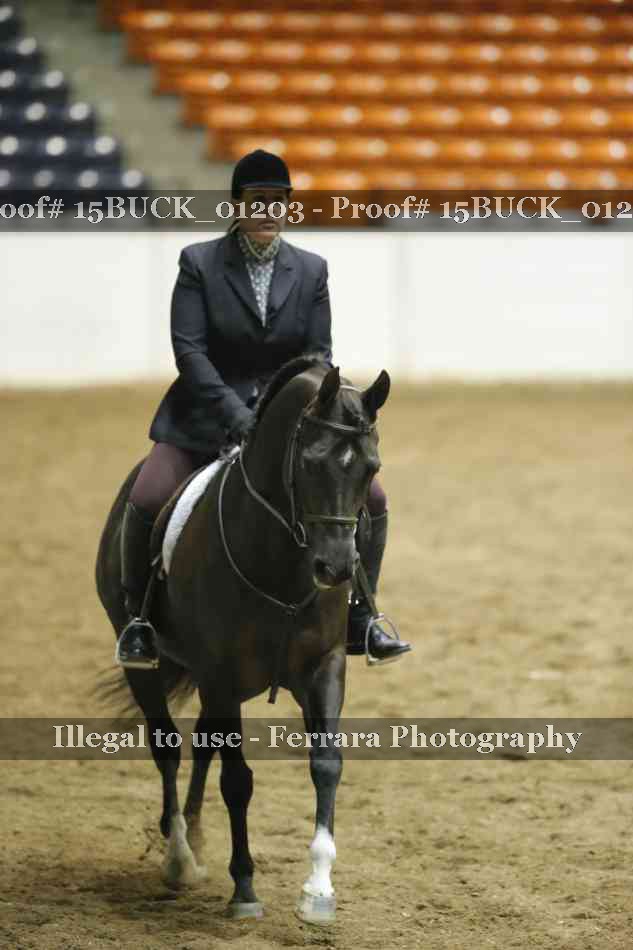 Proof 15BUCK_01203