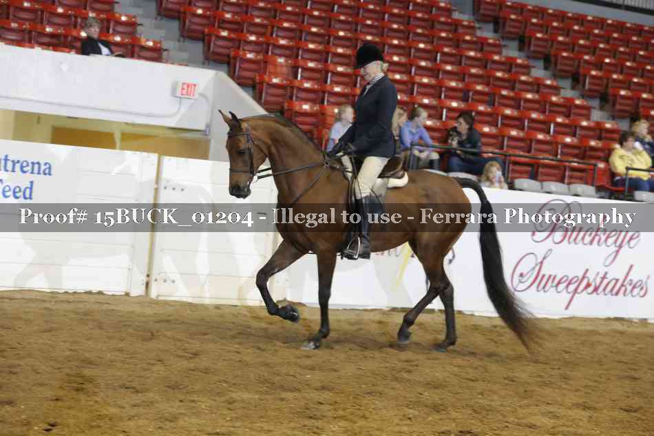 Proof 15BUCK_01204