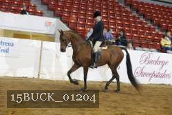 15BUCK_01204 proof