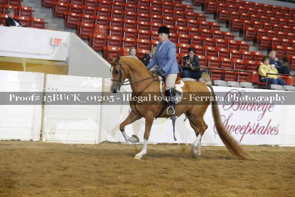 Proof 15BUCK_01205