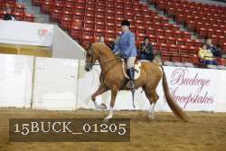 15BUCK_01205 proof