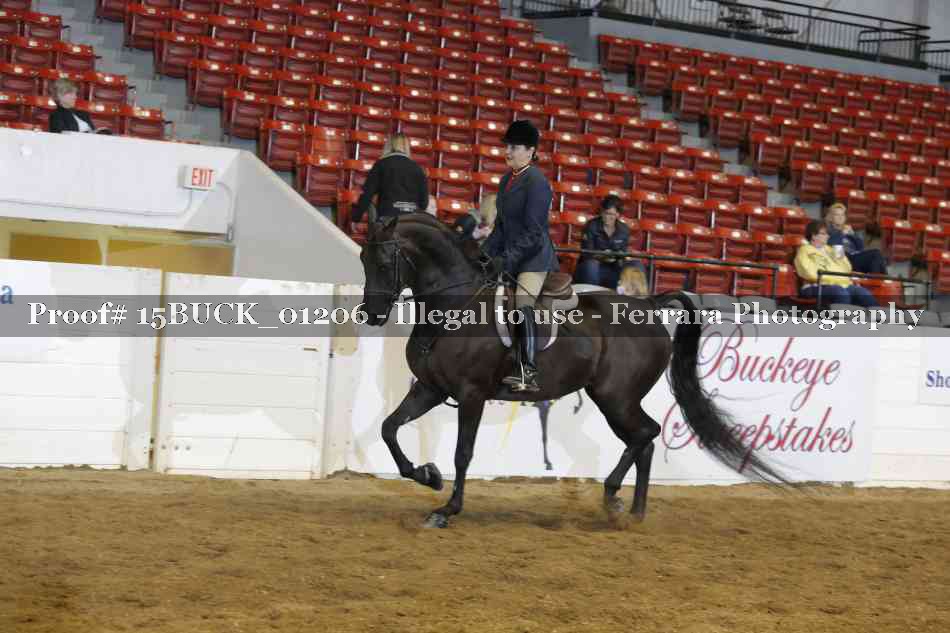 Proof 15BUCK_01206