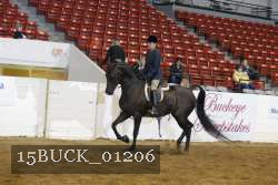 15BUCK_01206 proof