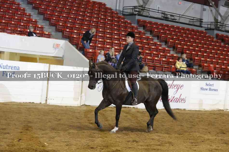 Proof 15BUCK_01207