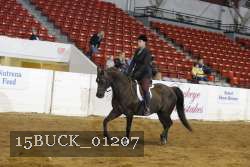 15BUCK_01207 proof