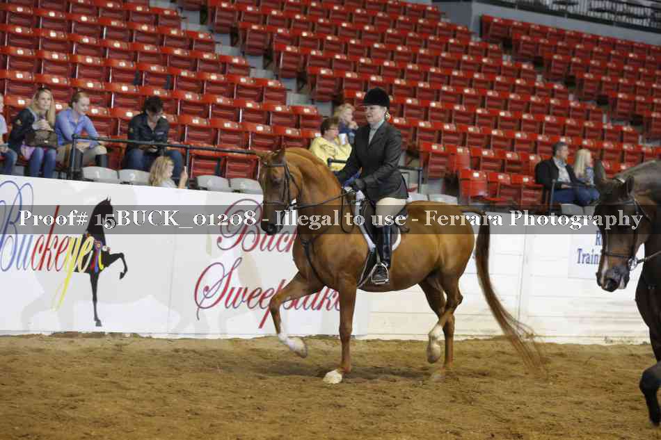 Proof 15BUCK_01208
