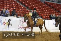 15BUCK_01208 proof