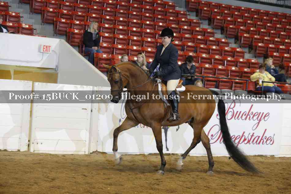 Proof 15BUCK_01209