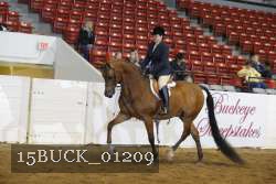 15BUCK_01209 proof