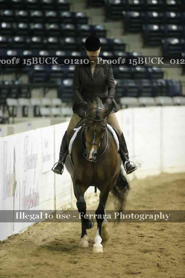 Proof 15BUCK_01210
